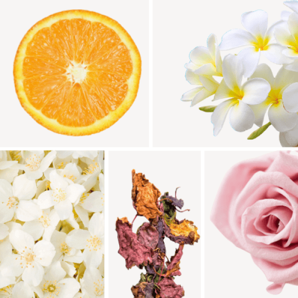 Duftnoten: Mandarine, Tiarè, Jasmin, Patschuli, Rose